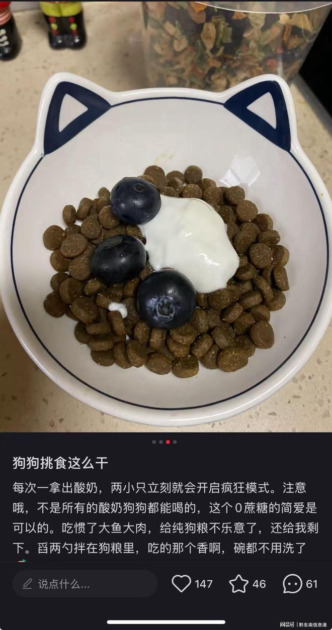 方”撬动萌宠经济与母婴信任双赛道麻将胡了网址简爱酸奶以“纯净配(图1)