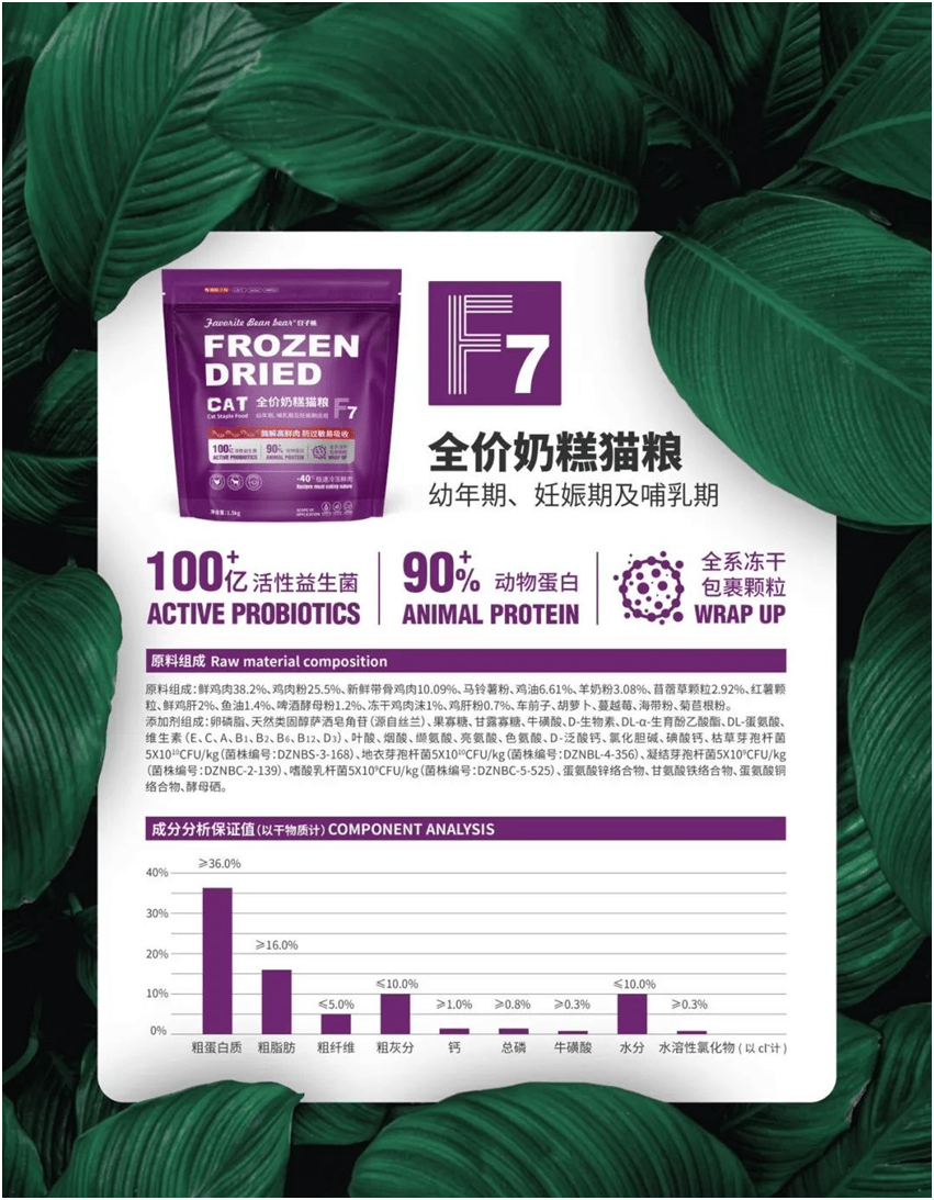 品品牌上新不断上心永远麻将胡了2豆子熊宠物食(图5)