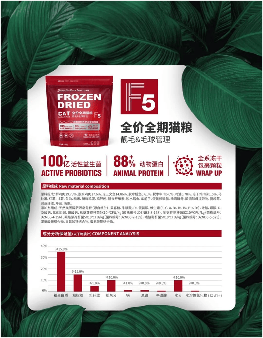 品品牌上新不断上心永远麻将胡了2豆子熊宠物食(图8)